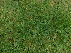 Eladó földterület Öreglak