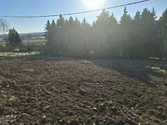 Eladó földterület Cserszegtomaj