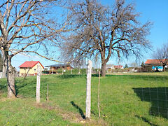 Eladó földterület Zalaegerszeg