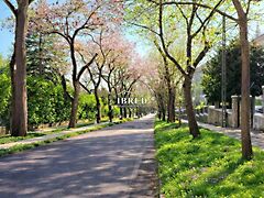 Eladó lakás Budapest, XII. kerület, Orbánhegy