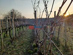 Eladó nyaraló Pázmánd