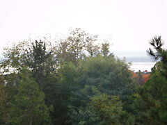 Eladó földterület Vonyarcvashegy