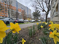 Eladó lakás Budapest, XIV. kerület