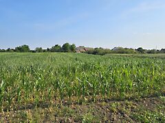 Eladó földterület Mezőtúr