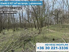 Eladó ház Lajosmizse