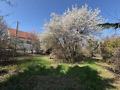 Eladó földterület Budakalász