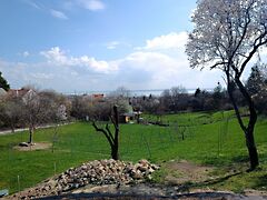 Eladó földterület Csopak