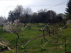 Eladó földterület Zalaegerszeg