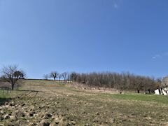 Eladó földterület Bókaháza