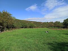 Eladó földterület Szentendre, Pismány