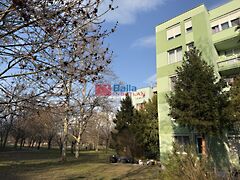 Eladó lakás Budapest, XXI. kerület