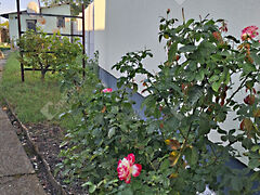 Eladó lakás Komárom