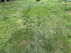 Eladó földterület Budapest, XVII. kerület