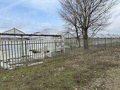 Eladó földterület Debrecen, Gáspár György kert