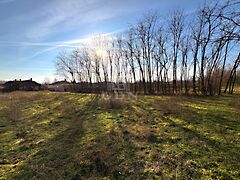 Eladó földterület Újfehértó