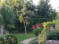 Eladó ház Székesfehérvár