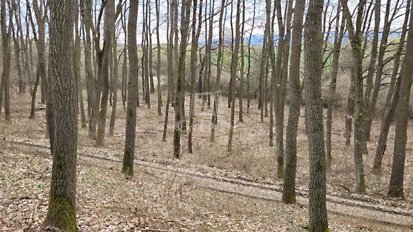 Eladó földterület Borsosberény