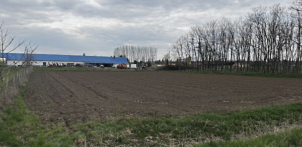 Eladó földterület Gyarmat