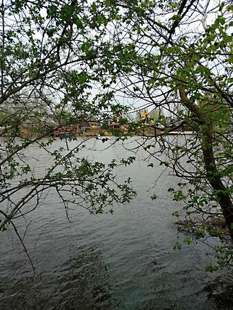 Eladó földterület Békésszentandrás