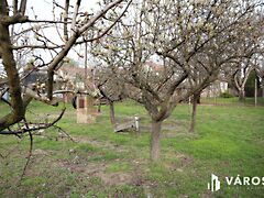 Eladó földterület Szeged, Szőreg