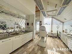 Kiadó üzleti Gyula, Belváros