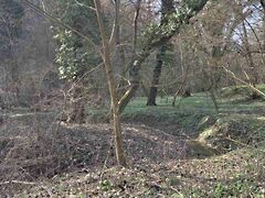 Eladó földterület Zalacsány