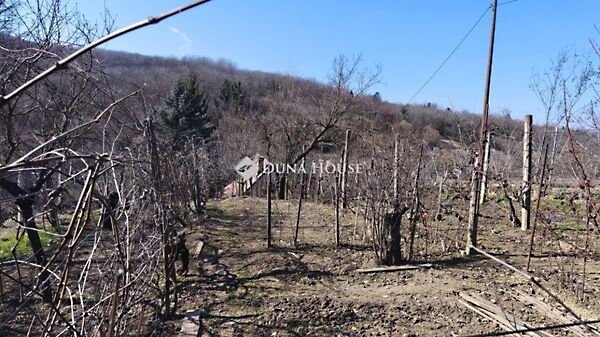 Eladó földterület Pellérd