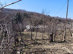 Eladó földterület Pellérd