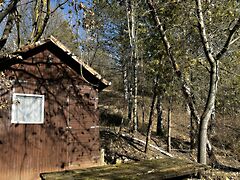 Eladó földterület Visegrád