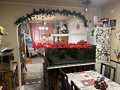 Eladó lakás Kisvárda