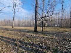 Eladó földterület Cegléd