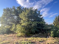 Eladó ház Nyírtelek