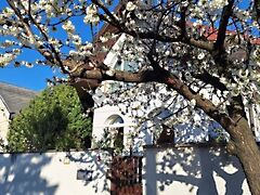 Eladó ház Budapest, XVIII. kerület