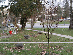 Eladó lakás Zalaegerszeg