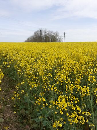 Eladó földterület Pápakovácsi
