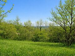 Eladó földterület Kehidakustány