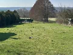 Eladó földterület Kehidakustány