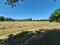 Eladó földterület Zalacsány