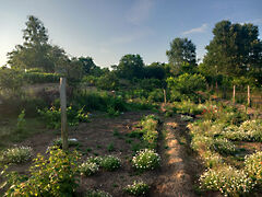 Eladó földterület Hajdúsámson