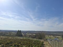 Eladó földterület Cserszegtomaj