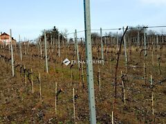 Eladó nyaraló Pázmánd