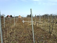 Eladó nyaraló Pázmánd