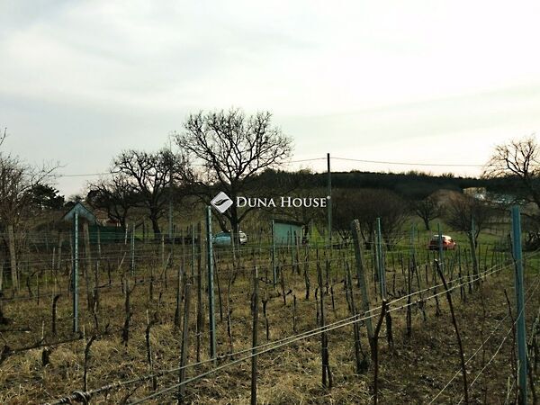 Eladó nyaraló Pázmánd