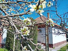 Eladó ház Siófok