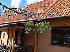 Eladó ház Szolnok, Szandaszőlős