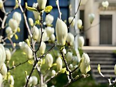 Eladó földterület Budapest, XII. kerület, Virányos