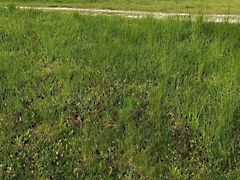 Eladó földterület Balatonszárszó