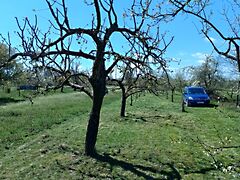 Eladó földterület Gyomaendrőd, Gyoma