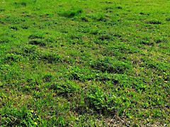 Eladó földterület Balatonszárszó