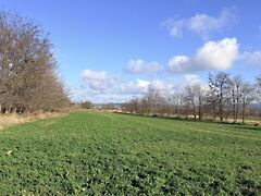 Eladó földterület Tata